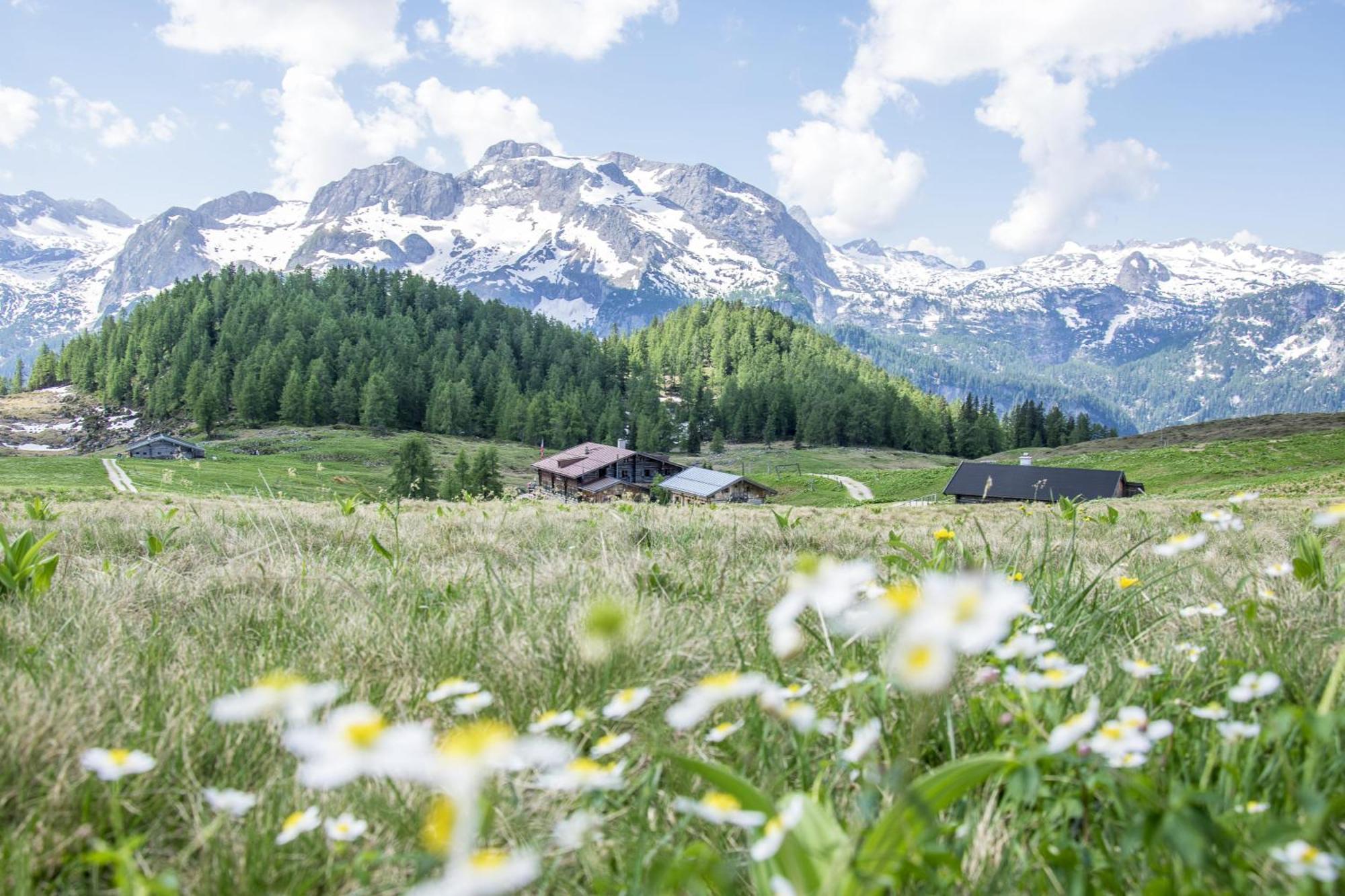 Villa Marga Ferienwohnung Steinernes Meer Schönau am Königssee Exteriör bild
